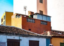 009 - icod de los vinos